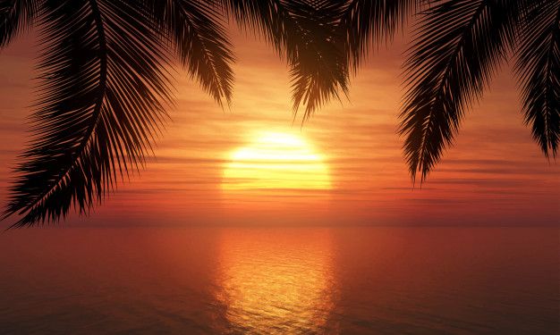colorweeks's tweet photo. CW Bonus Opportunity! Eat a fruit or vegetable at a sunset of a similar color! Time to get creative! You have 72 hours, GO! :)  #colorweeks #bonus https://t.co/YM2V2jujDQ