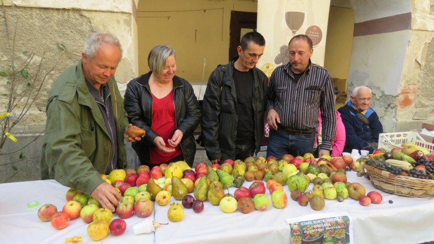 Cernik u mirisima starih sorti: Spašavanje i očuvanje starih otpornih vrsta voća #staresorte goo.gl/T3W3wg