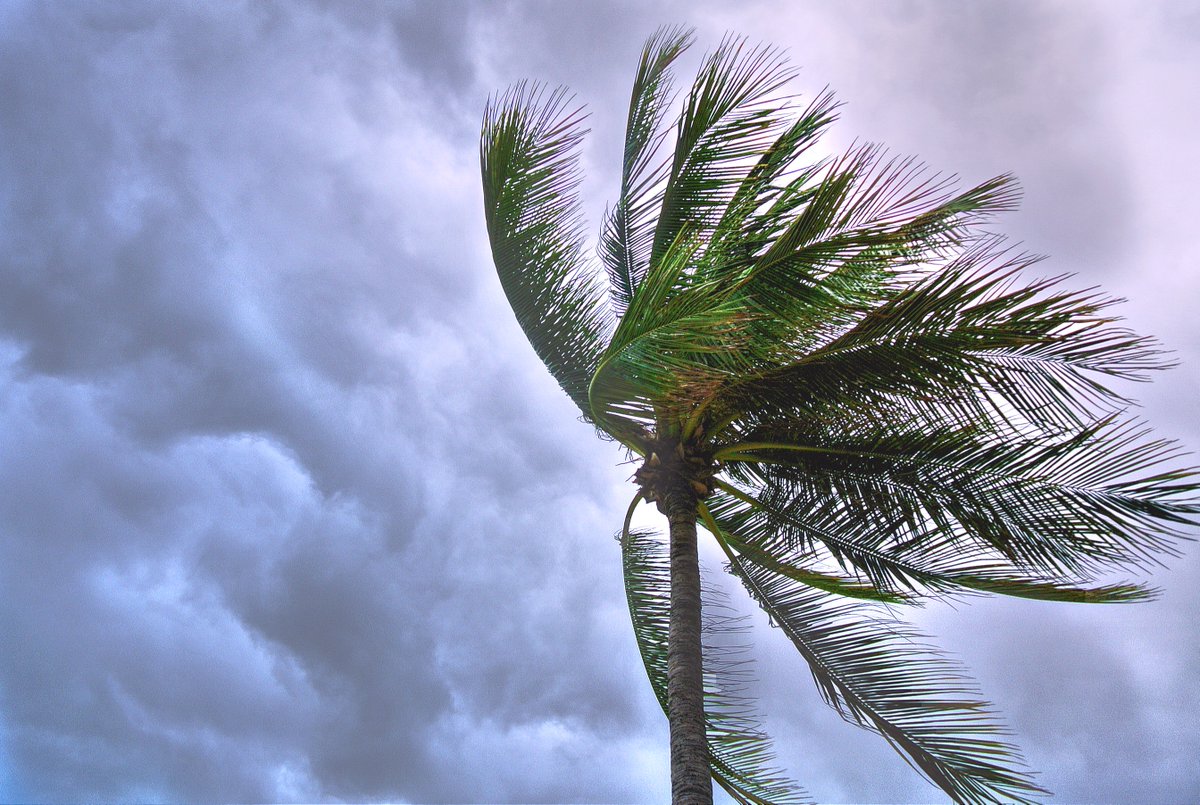 Trustify's tweet photo. With the massive recovery efforts going on after #HurricaneMichael2018 how can you be sure your donations are reaching victims? Read about the 5 Ways to Avoid Fake Charities from @DannyBoice 
https://t.co/oXZJOeNrht https://t.co/mguQSFCZjE