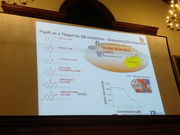 waelae's tweet photo. "Targeting quorum sensing in P. aeruginsosa: not quite there yet" @miguelcamarauk @uniofnottingham #LMM7 #microbiome https://t.co/YiHLnlImZn