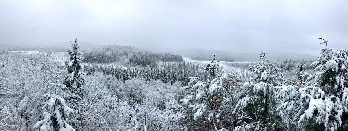 Algonquin_PP's tweet image. Do you want to build a snowman?  This is the current view from the Algonquin Visitor Centre!
