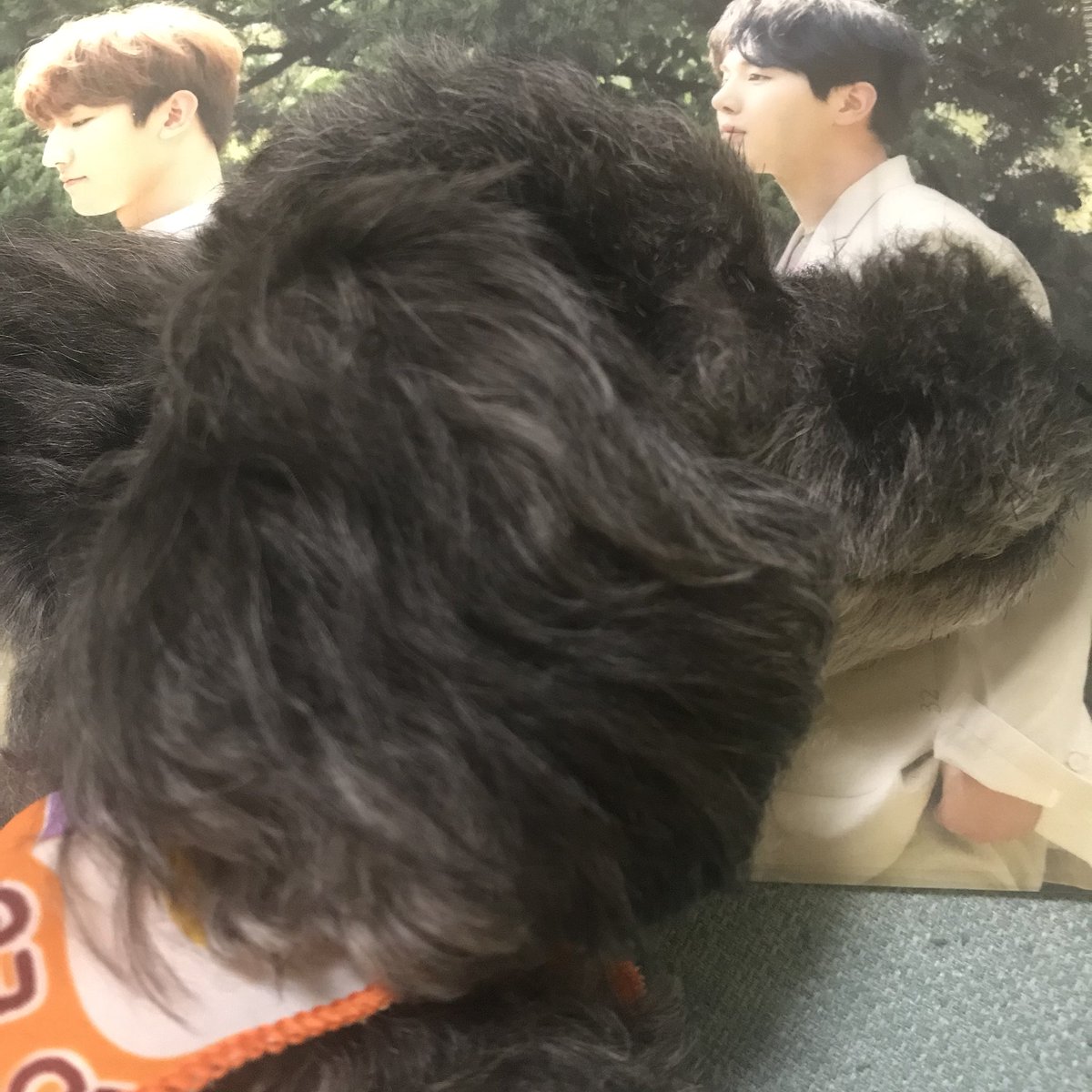 MeloMance0826's tweet photo. 멜로망스를 좋아해용~ㅎㅎㅎ

#멜로망스 #melomance 
#김민석 #정동환 https://t.co/5thXkN2rdD
