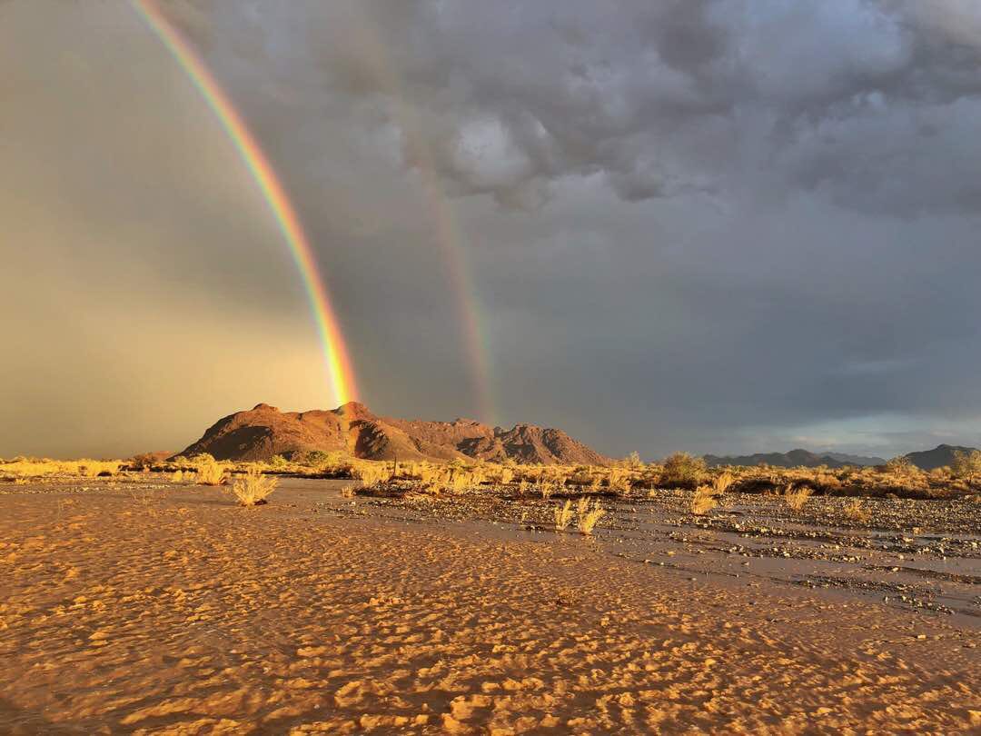 GwenLister1's tweet photo. Ohhh, when it rains in our desert! 😍 How I wish I could be there right now. Photos by Namib Sky Balloon Safaris. Check namibsky on Instagram. #Namibia #Namib #Sossusvlei https://t.co/Lmr1QblXpk