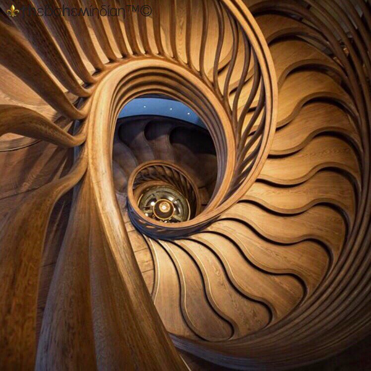 TheBelaKantaria's tweet image. The path isn't a straight line; it's a spiral. You continually come back to things you thought you understood and see deeper truths.🌀
~ Barry H. Gillespie
#wednesdaywisdom #stairstalk #deepertruths #spiral #thepath