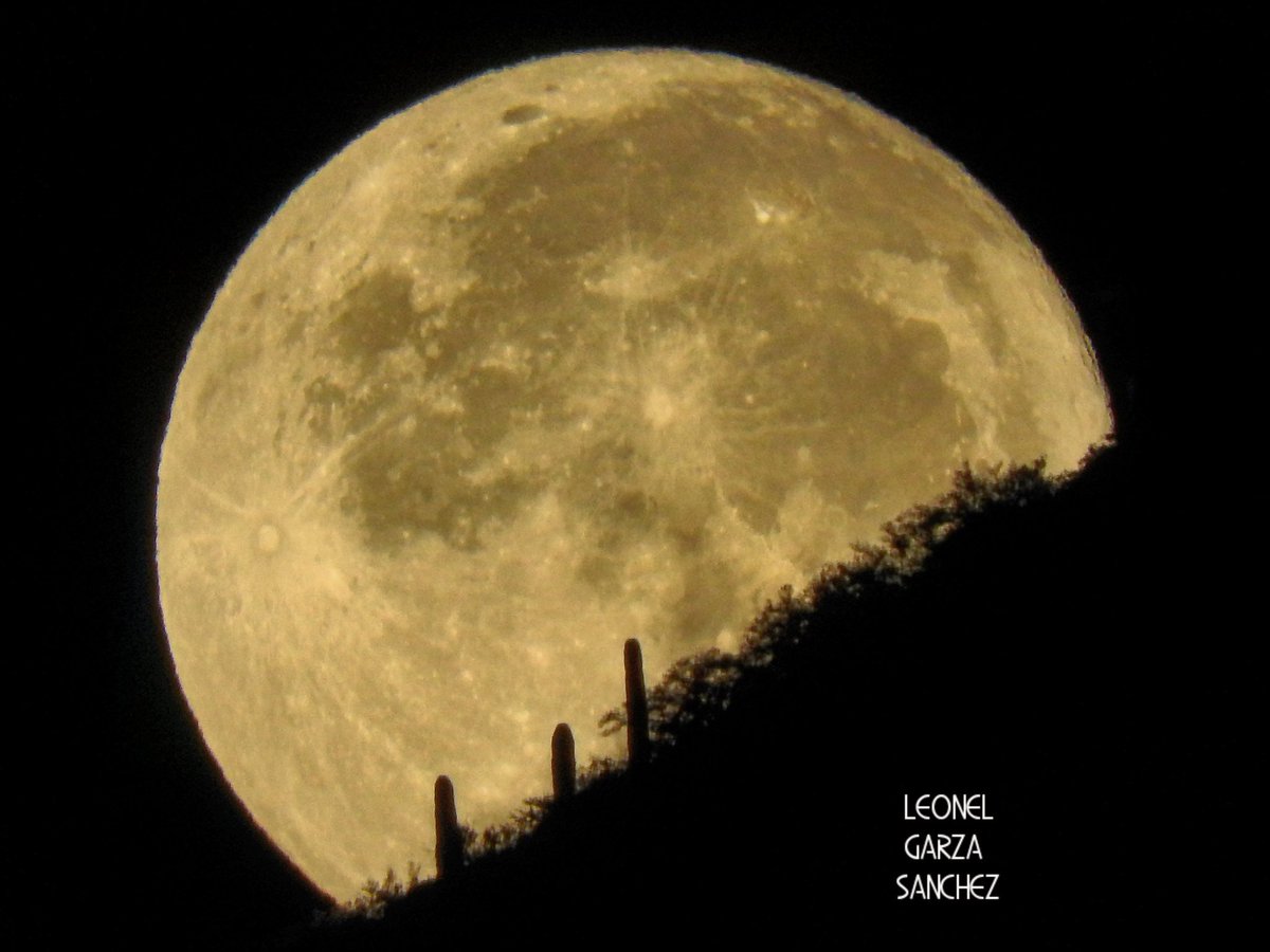GarzaHuracanGza's tweet photo. Esas Lunas de Octubre (October Moon)🌙🌵 San Carlos, Sonora, México @metmex @chematierra @webcamsdemexico @MuyInteresanteM @muyinteresante @RevistaNatGeo @Revista_Aire @NatGeoMexico @natgeomundo @NatGeo_la @NatGeo @NASA_es @NASAEarth @BBCWorld @bbcmundo @CNNEE @WorldNatGeo https://t.co/Y2lwcGXiFM