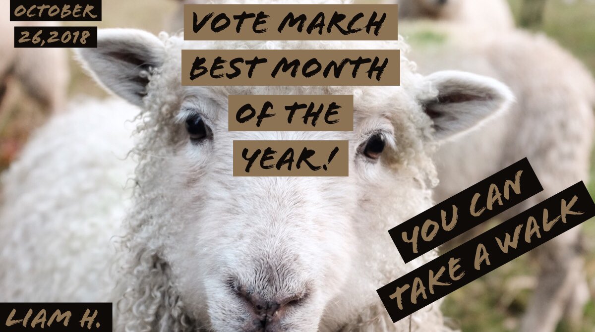 CoraDillMES's tweet photo. Here are today’s campaign posters created on @AdobeSpark.  Please check back to participate in our class vote this Friday, October 26th.  @FTSchools @FTMoyerES https://t.co/OCftidhWan