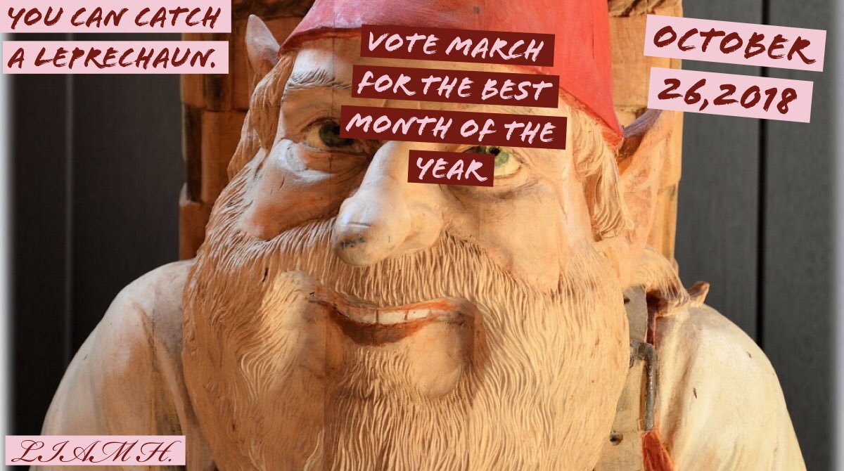 CoraDillMES's tweet photo. Here are today’s campaign posters created on @AdobeSpark.  Please check back to participate in our class vote this Friday, October 26th.  @FTSchools @FTMoyerES https://t.co/OCftidhWan