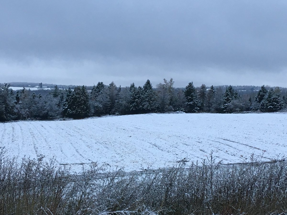 LePetitMas's tweet photo. Le champ d'ail avec son chandail blanc. ☃️ #AilduQuebec #Estrie #ViveleQuebec #premiereneige https://t.co/qoNQDHnp1Y