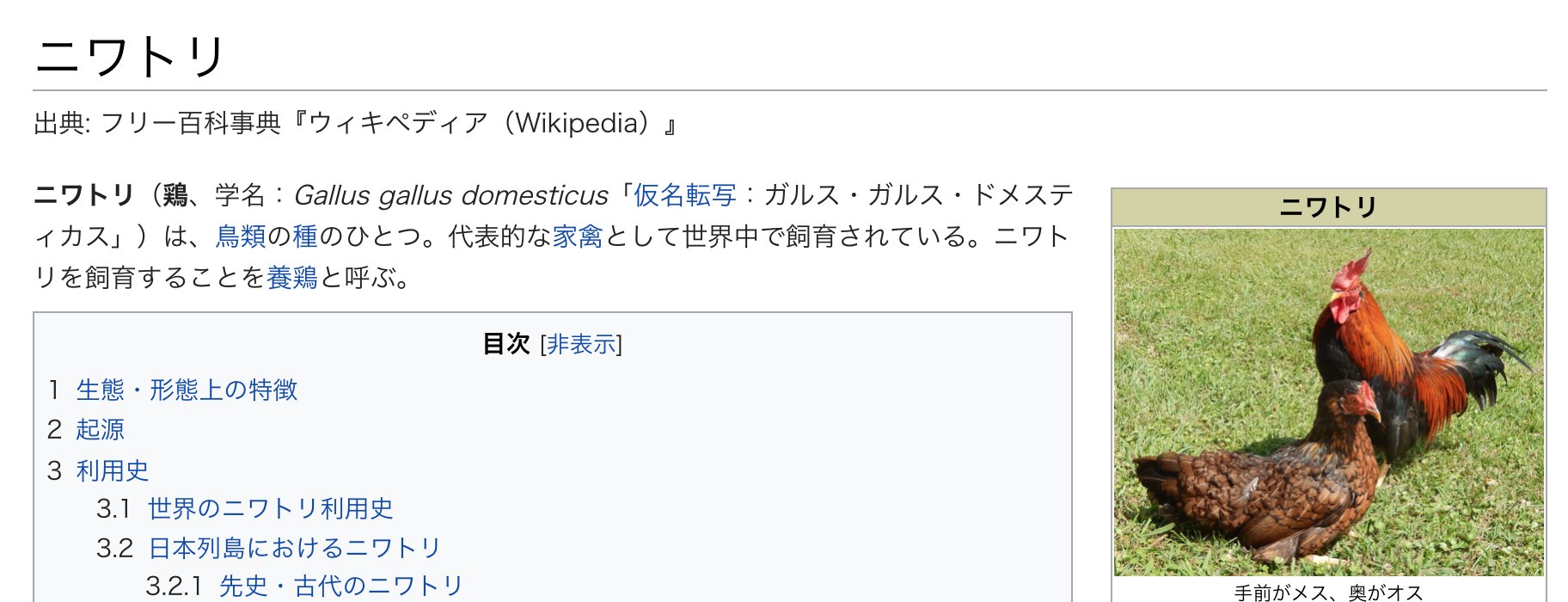 Atusi ニワトリの学名の厨二感たるや 絶対火吐くよこの名前