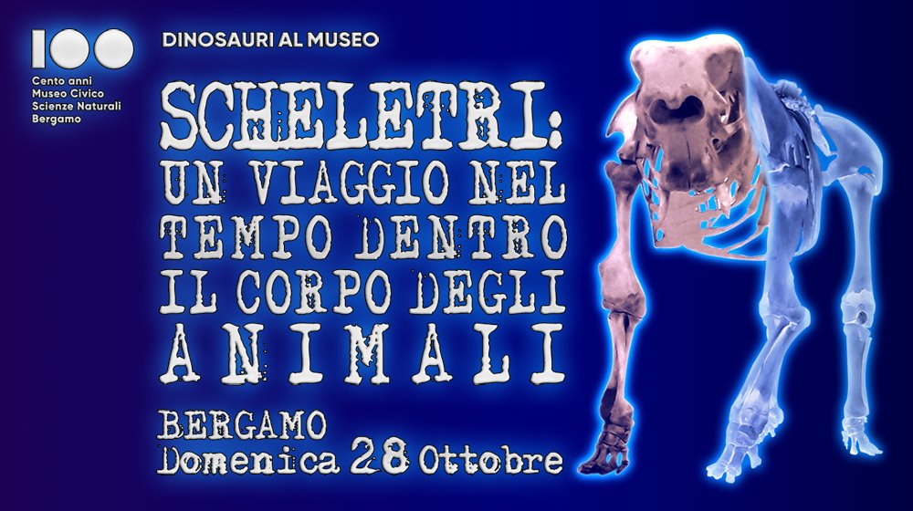 🦕⏳ "SCHELETRI: un viaggio nel tempo dentro il corpo degli animali"! 

Il 28 ottobre una straordinaria Visita guidata per tutti - consigliata per bambini dai 7 anni di età - al #MuseoCaffi di #Bergamo ore 15-16.30. Prenota subito via mail 📩

InfoEventi⏩goo.gl/G3xdWH