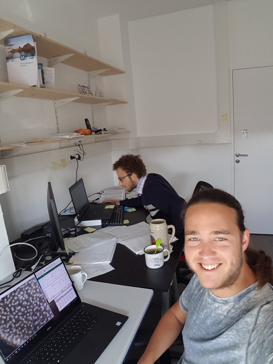 AndreasNorlin's tweet photo. Fieldwork is nice, and after fieldwork comes datahandling, @JoostMansour is fighting with Excel and I am counting cells from pictures of colonial #Radiolaria. Luckily the view is nice from #SBRoscoff.
#protists #mixotrophs #MixITiN #eSNCMs @MSCActions @mixotrophs @EU_H2020 https://t.co/SFWZJFx31C