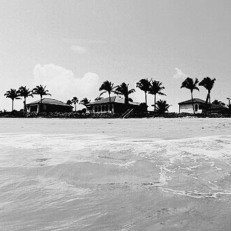 tckiis's tweet image. island in the sun