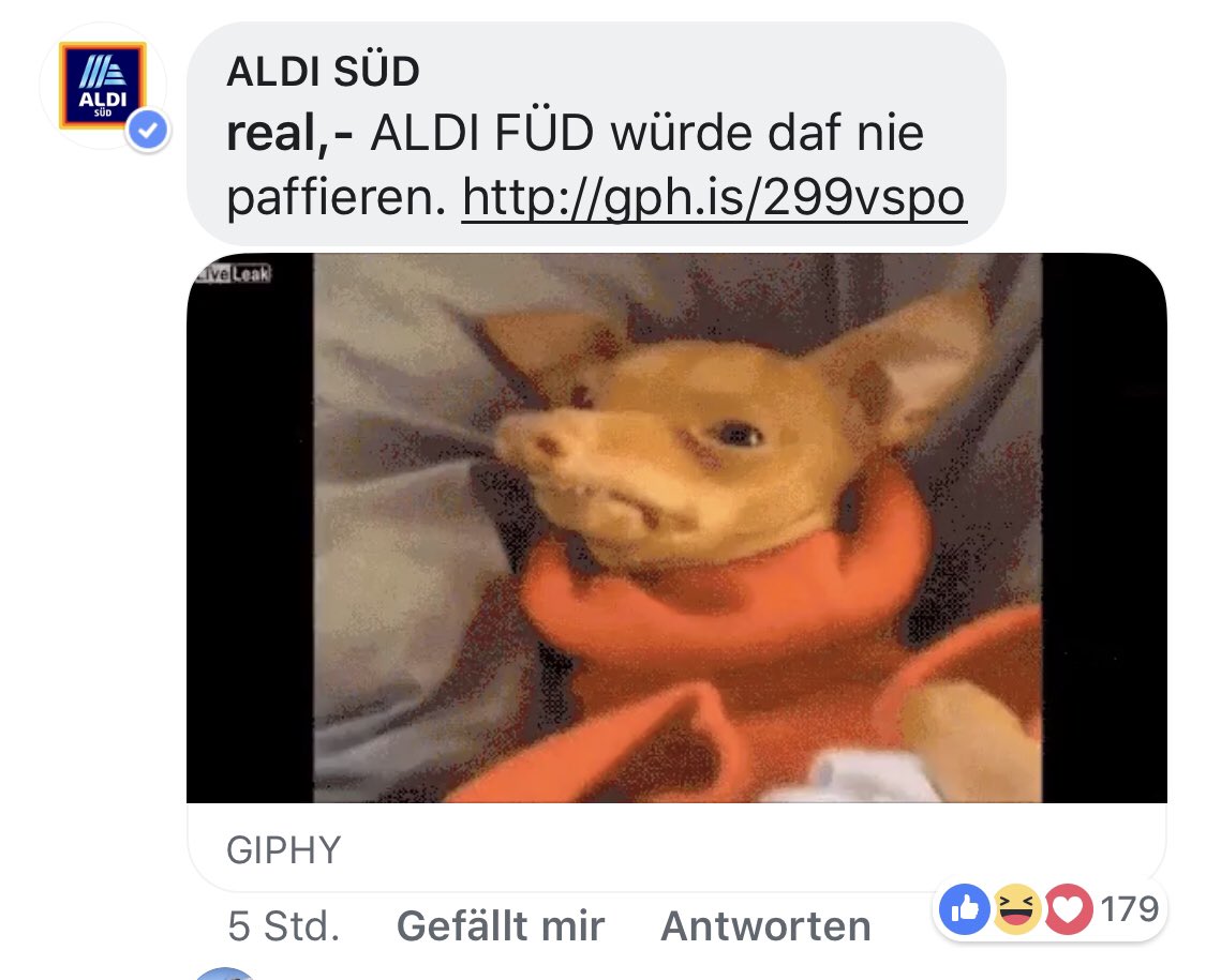 blume_bob's tweet photo. Ich musste mich gerade sehr unverhältnismäßig wegschmeißen. 😂 https://t.co/4EkkbkirJL