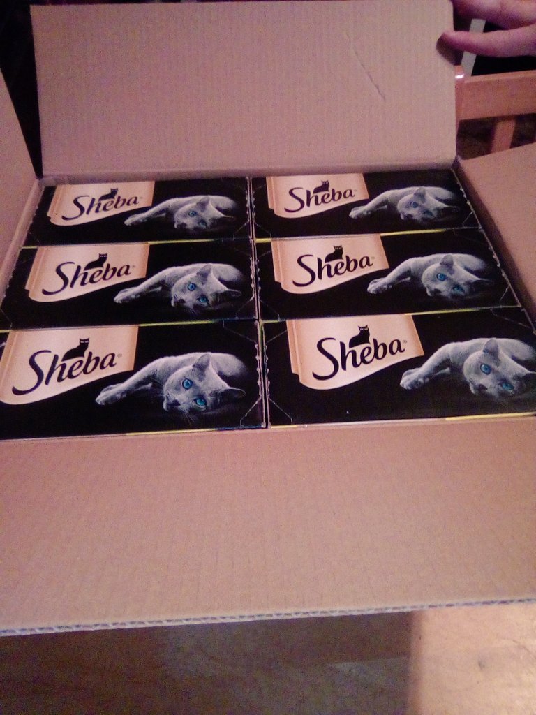 CraftEKittens's tweet photo. Next up... MUCH needed supplies of the foodie noms variety! They do love Sheba 😉👍. Should last until next month's subscription delivery... I hope ^_^ #4tcek https://t.co/CQlOIHmk8A