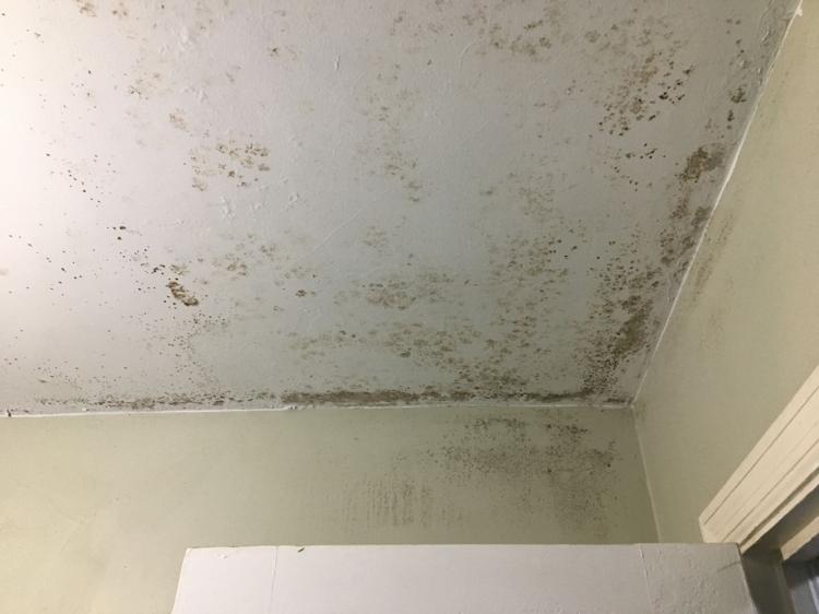 postandcourier's tweet image. In Columbia, @henrymcmaster's rental properties have received 117 violations since 2015.

One such property has mold, broken glass, and dead roaches caked inside a panel of the kitchen stove. 

bit.ly/2OJRxDe