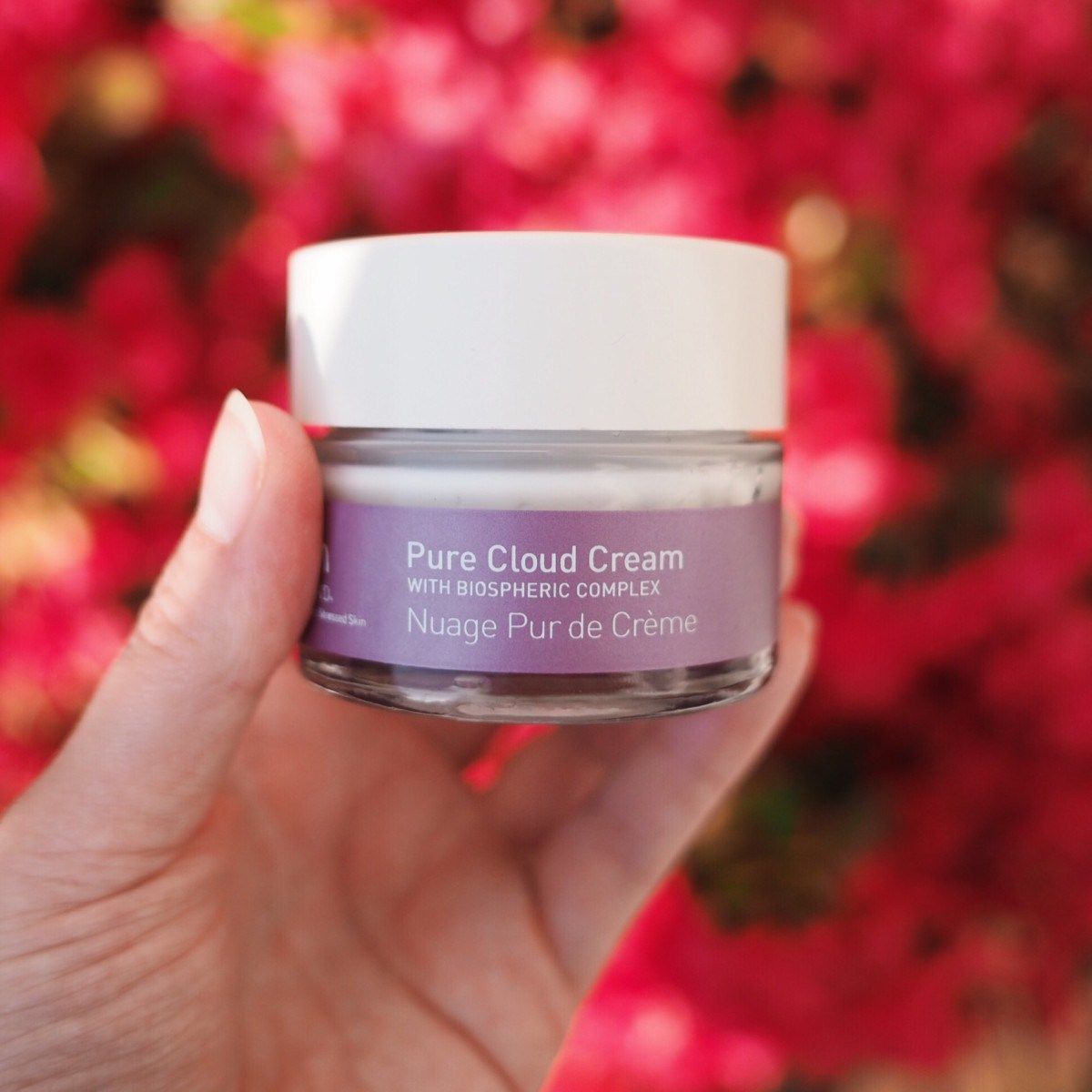 KabukiRune's tweet image. ☁️ Skyn Iceland Pure Cloud Cream ⋆ buff.ly/2IPzoB1 @Influencer_RT @BBlogRT @FemaleBloggerRT @BloggersTribe @FabBloggersRT @UKBlog_RT #ShinyHappyBloggers #bblogger #BossGirlBloggers #blogger #FemaleBloggerRetweet #BeautyBlogger #crueltyfree #bloggerstribe