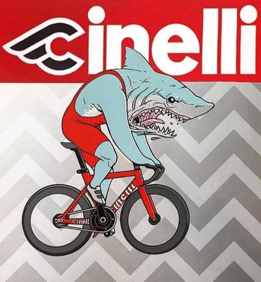 vigorelli shark