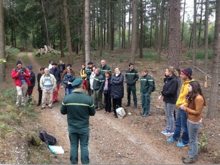 ONF_Officiel's tweet photo. La forĂȘt indivise de #Haguenau fait un pas supplĂ©mentaire vers le label #foretdexception avec la visite du comitĂ© national. L'occasion de rencontrer les acteurs et de faire le point sur les actions engagĂ©es
https://t.co/8BhlzL1PxU
https://t.co/VJ0myK49L3 https://t.co/5cdPCoF5an