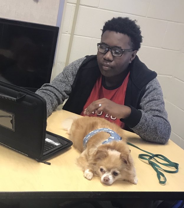 lauren (@loydkhs) on Twitter photo Therapy Dog Lukie is just what you need on a Wednesday to get you through the rest of the week! #LearningLab802 <a href="/TammyMu77349518/">Tammy Murphy</a> <a href="/WorthyBennett/">JoAnn Bennett-Worthy</a>
@BetsyJa17038695 <a href="/KHS_Chiefs/">Kempsville Chiefs</a> Therapy Dog Lukie is just what you need on a Wednesday to get you through the rest of the week! #LearningLab802 <a href="/TammyMu77349518/">Tammy Murphy</a> <a href="/WorthyBennett/">JoAnn Bennett-Worthy</a>
@BetsyJa17038695 <a href="/KHS_Chiefs/">Kempsville Chiefs</a>