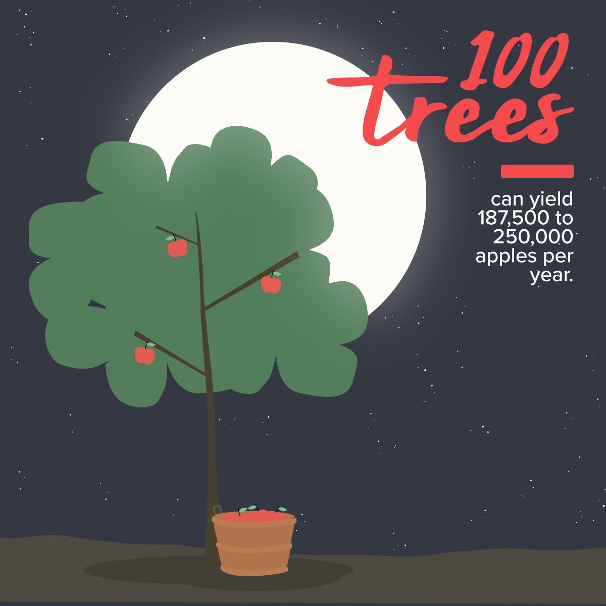 SOLEFinancial's tweet photo. When you go paperless, SOLE plants a grove trees in your company's name. #paperlesstrees https://t.co/18IOOKl6VS https://t.co/gyvOfP5MfM