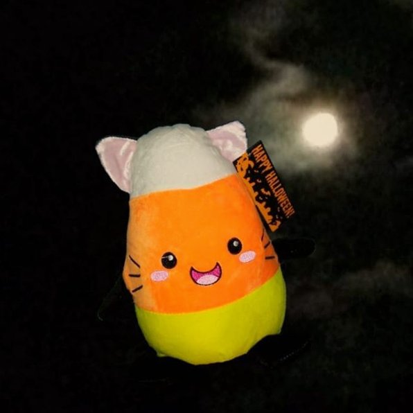 sugar loaf toys halloween