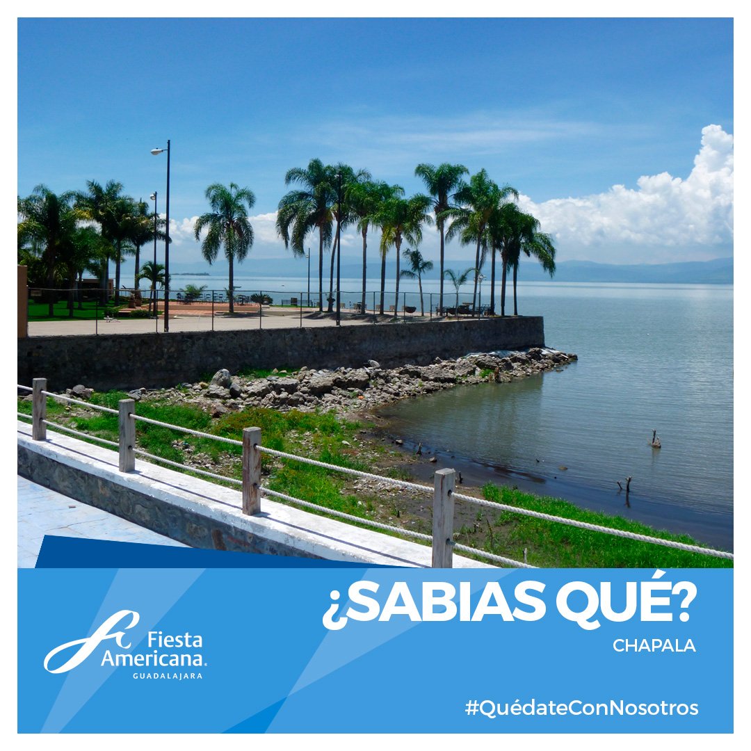 Promo_MexicoMx's tweet photo. #EsTiempoDeRenovación #FUNDIEXPO2018 #Jalisco FelizMiércoles #AlMomento #DespiertoYAgradezco
¿Sabías que Chapala es el lago más grande de México?
Cuenta con una extensión de 80 km de largo y 20 km de ancho. Famoso por sus recreaciones acuáticas y por su sabroso pescado. https://t.co/ISrC0mOlfa