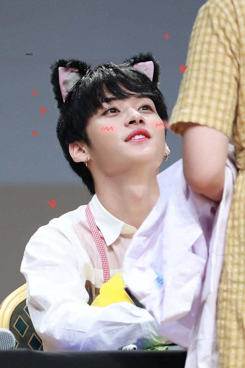 leeminhoarchive's tweet photo. 💕😻 https://t.co/DB5Pv6ksKu