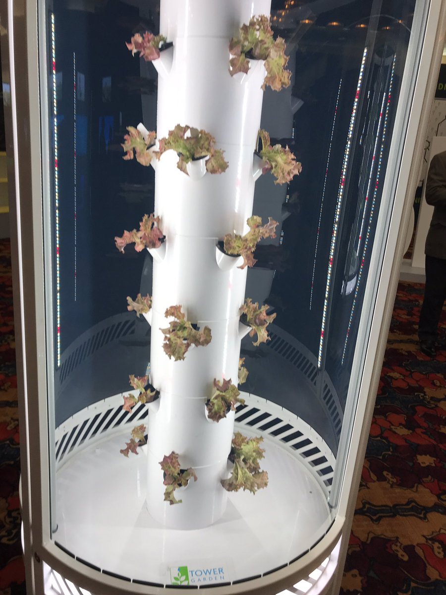 Greg Mellinger (@gregmellinger) on Twitter photo 