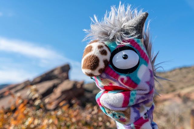 Horndribbles's tweet photo. @giulio_damore and I are at it again.
Getting new puppets and images ready for our Upcoming City o City show!

#horndribbles #puppets #redrocks #denver #colorado #cityocity #photography https://t.co/CWTJWuBSmR https://t.co/BZ3OdwmVfy