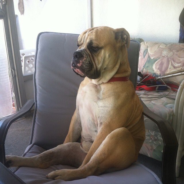 TonyFaucette's tweet photo. Good posture is everything ! https://t.co/pEHmgKdwps