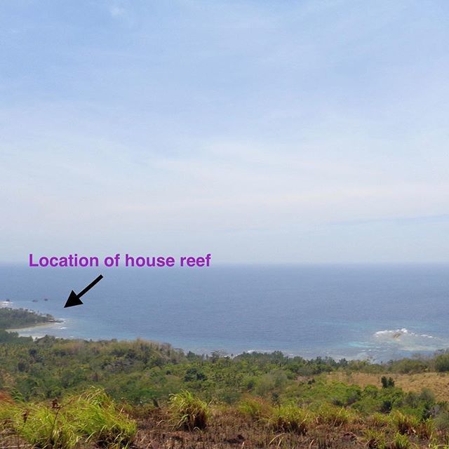 FvKlaveren's tweet photo. Frank and Vera have arrived on Bangka, North Sulawesi! Let’s build a house reef!! #koraal #coral #reef #reefrestoration #artificialreef #healtyreef #sealife #oceans #healthyoceans #saveouroceans #coralgardening #bangkaisland #sulawesi #indonesia #followy… https://t.co/F5v1gzA2D5 https://t.co/oDH94KYkK5