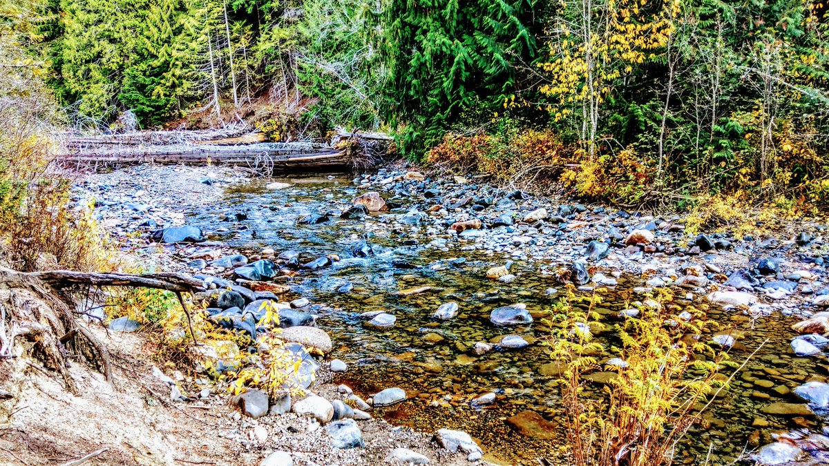 JMBPhotoPNW's tweet photo. Few more from 10:19-21-2018 Shoot... #GrouseCreek #PNW #pnwonderland #Mountainlife #nature #HTC #htcusa #shotonhtc #HTCU12Plus @htc @HTCUSA https://t.co/eG6SkTeXoT