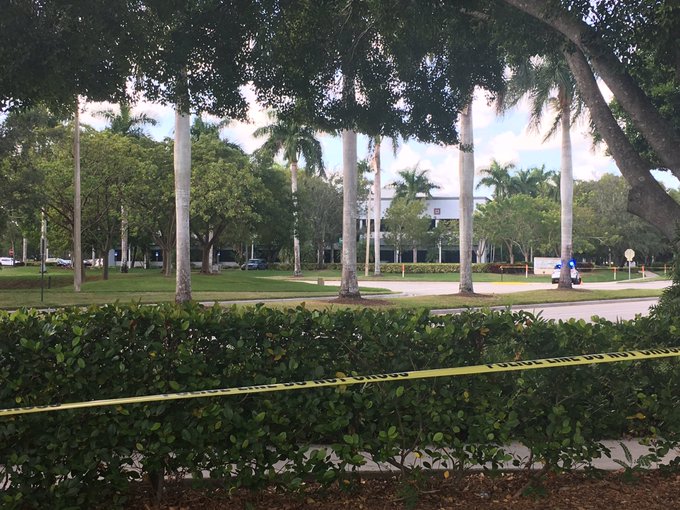 Ver imagen en Twitter