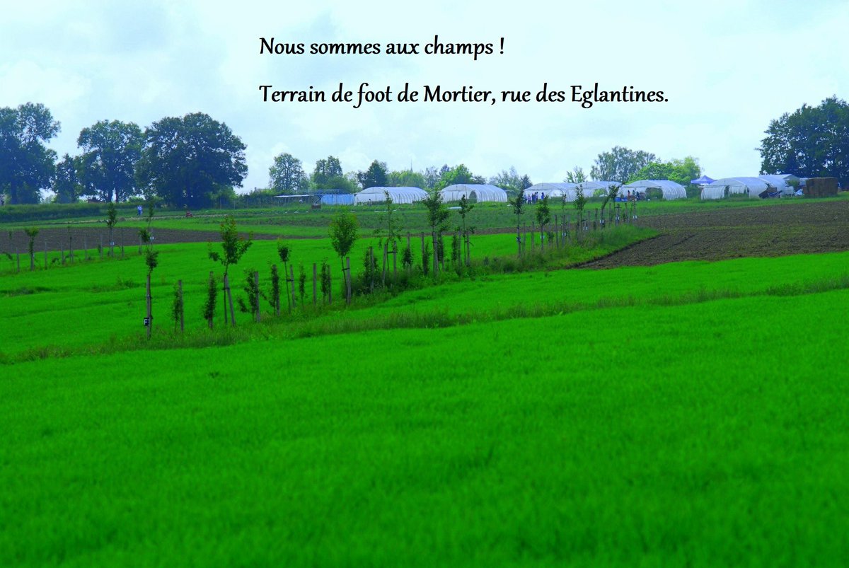CompagnonsdelaTerre tweet media