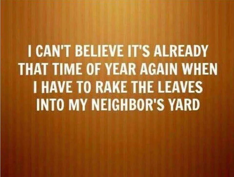 ProEdgePropServ's tweet image. Leaves are falling heavy! Call (309) 255-8402 for a free estimate for leaf removal!

ProEdgePropertyServices.com