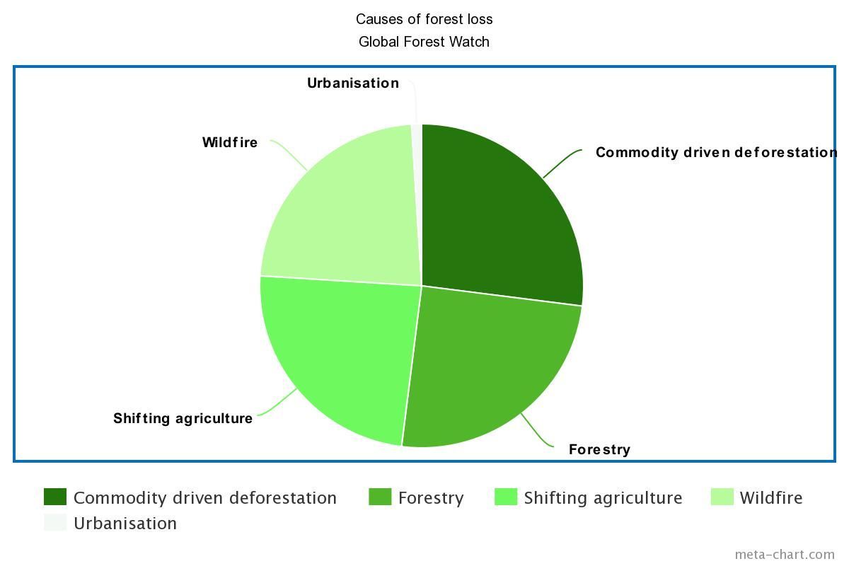 Deforestation Chart 2018