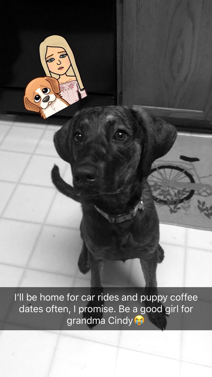 MadiOstring's tweet image. How’d you get so big?