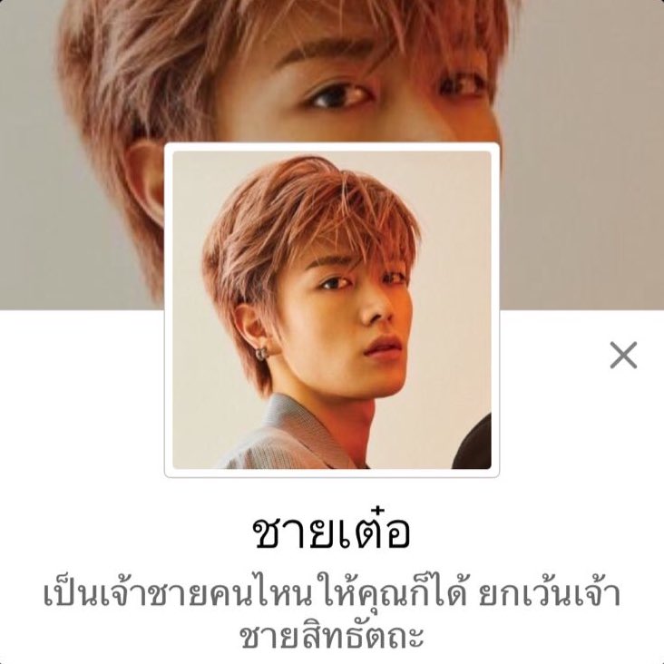 b✿ tweet media