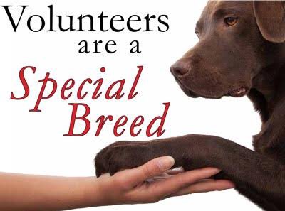 jaan_indonesia's tweet photo. URGENT ❗️
We are in DESPERATE need of volunteer veterinarians able to help in the field in Palu!
The team is left to only 2 people &amp; the need to help animals is overwhelming.
PLEAAE contact Anita on +62 812 8829 0997 if you can help! #Palu https://t.co/F8d9MKtTLZ