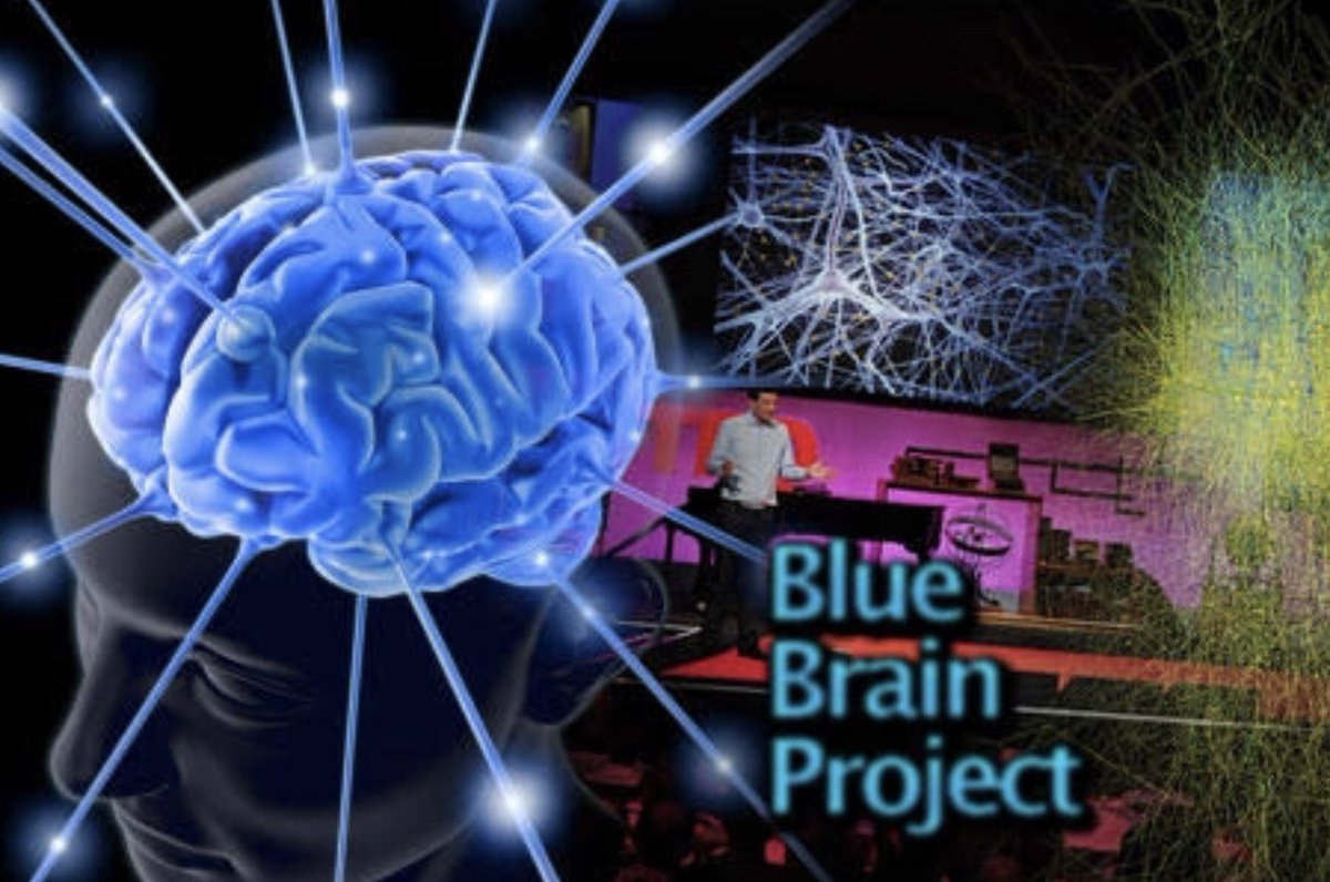 Brain project