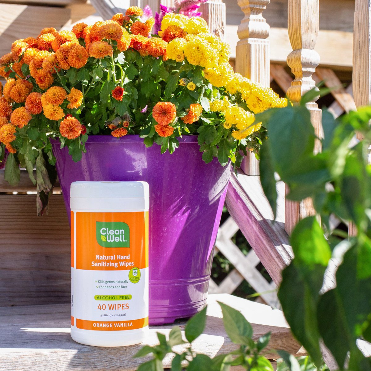 CleanWell's tweet photo. Keeping your family germ free never goes out of season.

#germfree https://t.co/OmJFoNswcR