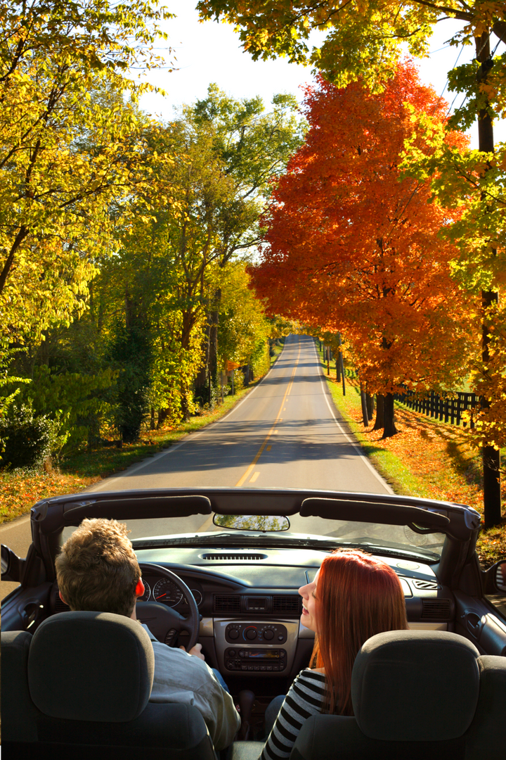 KentuckyTourism's tweet photo. There's no better way to take in the beauty of #KYColorFall than with a road trip through the Bluegrass. ๐๐๐ Plan your scenic #TravelKY experience to explore the American crossroads of Kentucky: https://t.co/sX7y6U0T93 #BetterInTheBluegrass #RoadTrips https://t.co/dg5ujGY4uH