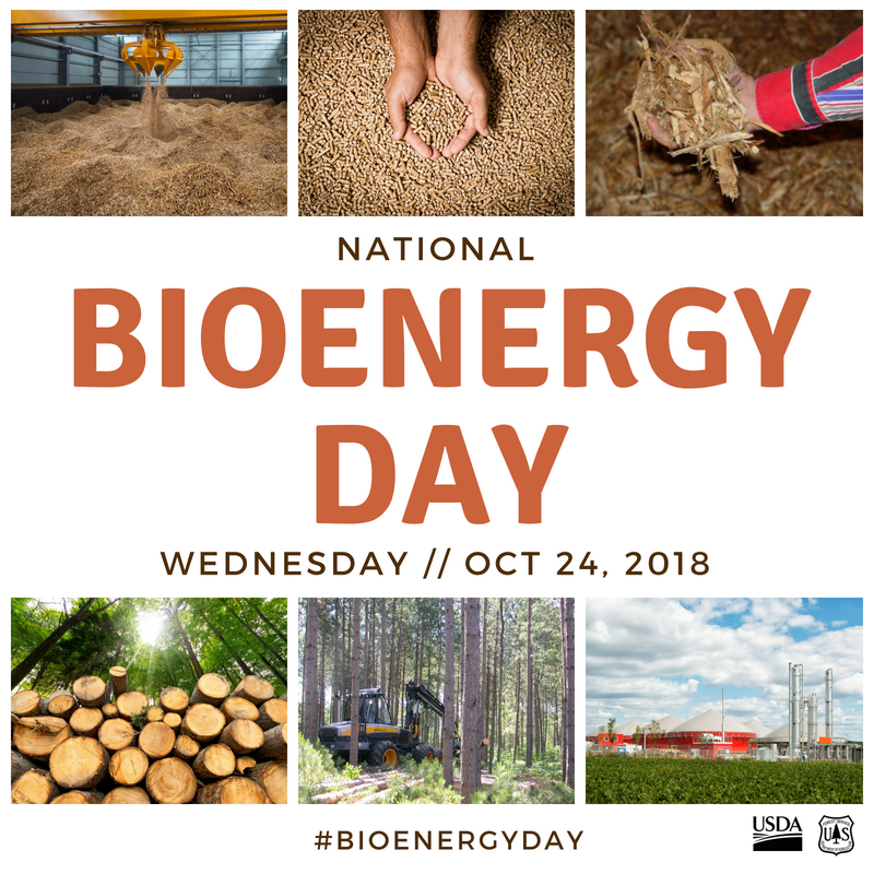 Today is National Bioenergy Day  (10/24/2018)
#WVU researched using wood waste products for bioenergy.
Explore a career in bioenergy with the WVU Wood Science &amp; Technology degree
admissions.wvu.edu/academics/majo…
#woodscience #bioenergy #wood #ForestProductsWeek 
<a href="/wvudavis/">WVU Davis College</a> <a href="/WVUAdmissions/">WVU Admissions 💛💙</a>