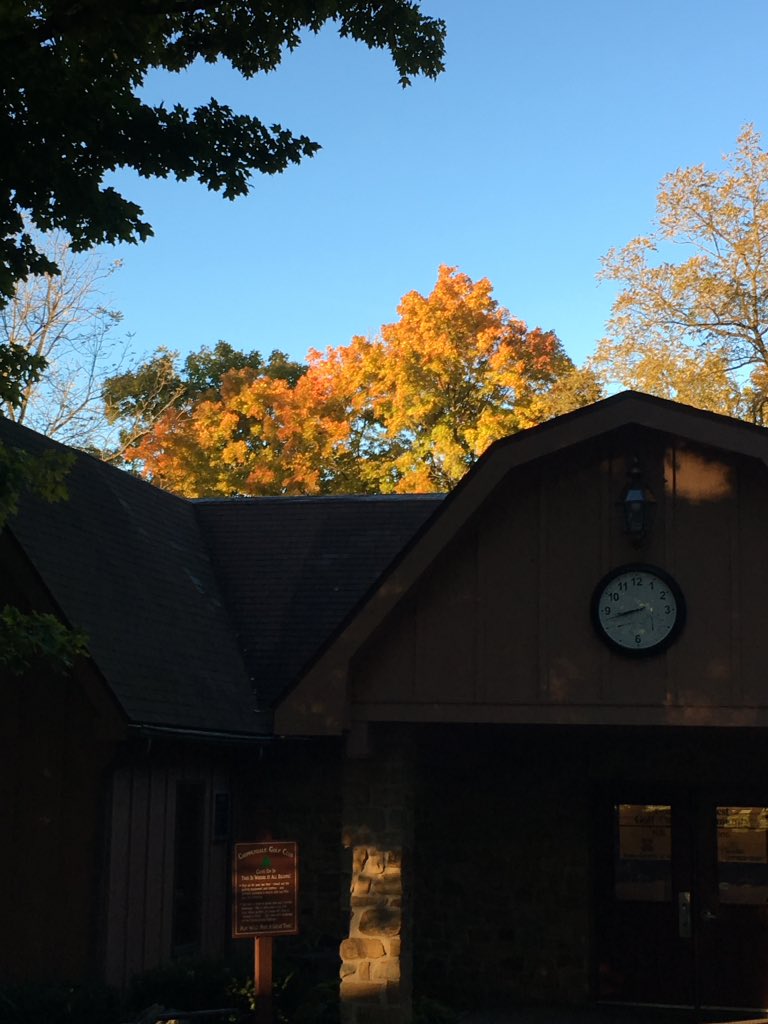 clester34's tweet photo. Beautiful morning today at Chippendale Golf Club! https://t.co/gzp05feKY9