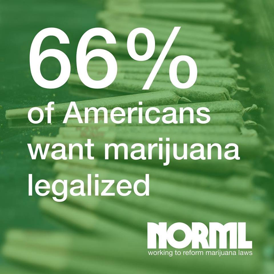 NORML tweet picture