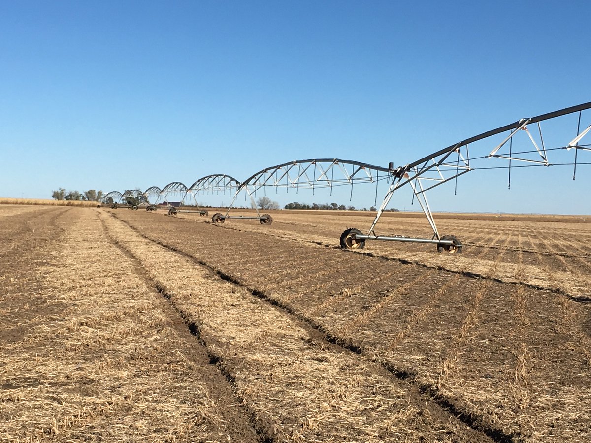 Lashley Land (LashleyLand) Twitter