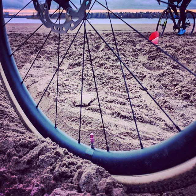PistaCycling's tweet photo. Some sand pit, grass and off camber training today 💪
.
.
.
#helcxcup #crossishere #cyclocross
#bikestagram #bikelife #cyclocrossbike #cyclocrosslife #cyclocrossbikes #bike #cyclingporn #bikeexploration #bikespiration #ridelife #lifebehindbars #cyclin… https://t.co/nwBWW6Kep4 https://t.co/2VieyNAqWN
