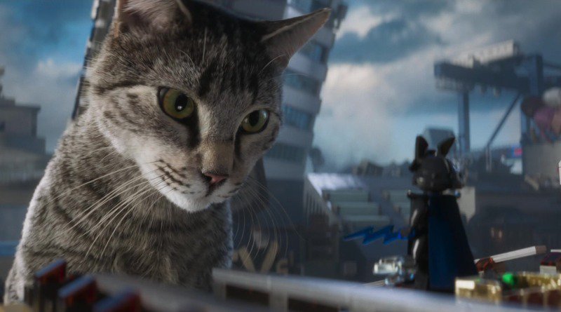 LEGO and cats are a perfect mix... right?  brickfanatics.com/five-times-leg… #LEGO #cats #BrickFanaticsMagazine