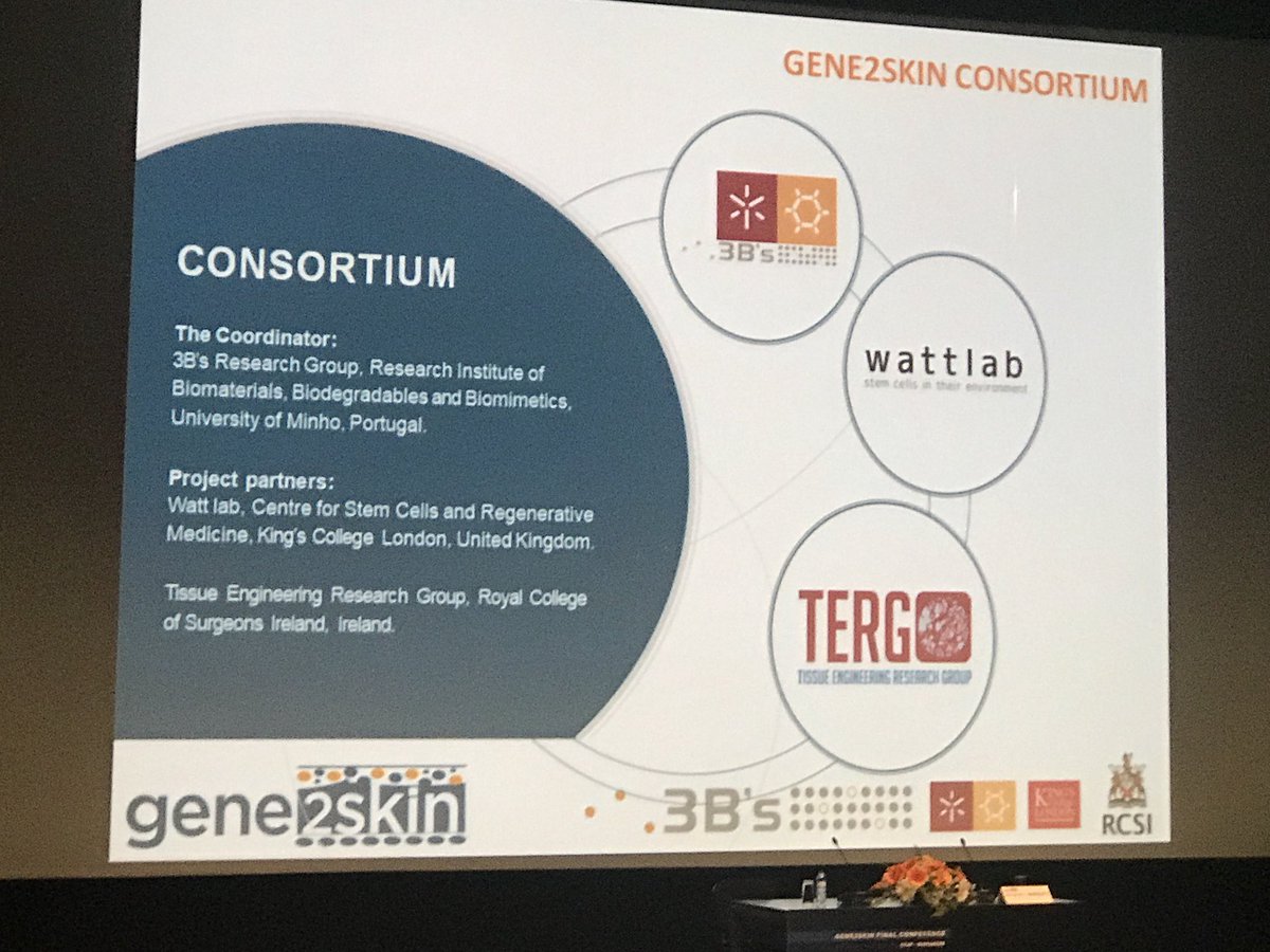 fjobrien's tweet photo. Alexandra Marques bringing the #Gene2Skin Final Conference detailing some of the great accomplishments of the project. Been a real privilege to be part of it &amp; to work with @3bsuminho &amp; @KCLstemcells @RCSI_Irl https://t.co/RKlZFbN3nd