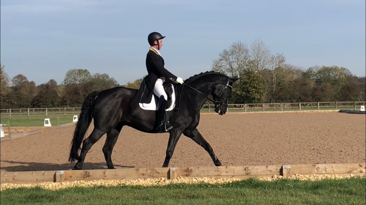 Warmed up great with lots of power, but unfortunately we lost power with him not enough in front of my leg. I think it’s back to a bit of test riding for us.
Thank you to my lovely supportive owners, and great to see Ben Ambrose☀️ #lifeofshaun🦄